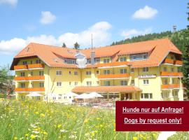Burg Hotel Feldberg, hotel Feldbergben
