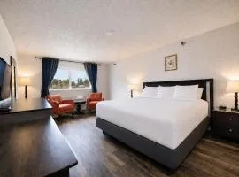 Hotel International