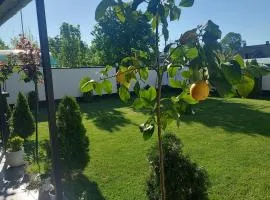 Dennis Guesthouse Cahul