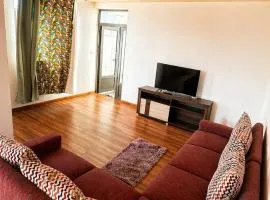 Zenith Apartment