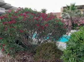 ZenGarden Pool,3bedrooms,lit bébé Beach800m,box&wifi