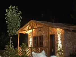 Trivor resort