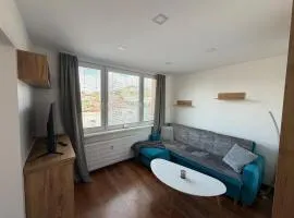 Modern stylish apartment
