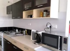 Znojmo Center Apartment 5 Beds