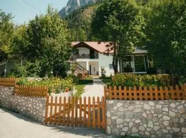 Bujtina Arlindi