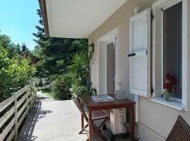 Home Meditamondo
