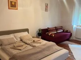 Borsfai Vendégház