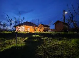 Kucica