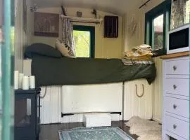 Fern Cosy Woodland Shepherds Hut Walk to Sea