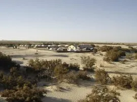 Campement Sahara Oasis Douz