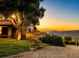 Fonte Fantina agriturismo & olio Evo in Maremma Toscana