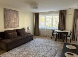 Family Comfort Apartment