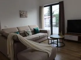 Spacious apartment with Balcony and City