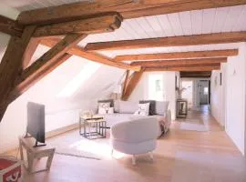 Little Nest -ganzes Loft Nähe Aarau,zwischen Seen und Schlössern, Hund
