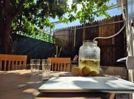 The Lemon House