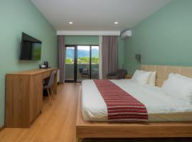 Vineyard Hotel & Winery – hotel w mieście Napareuli