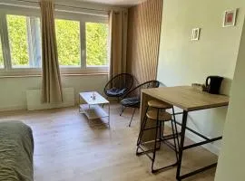 Appartement centre ville