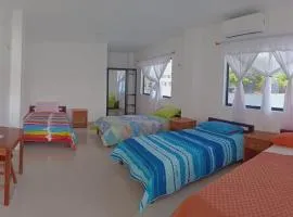 Iguana Marina House