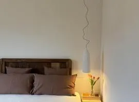 VILLA ILARI - appartamento ILARIA tra MARE E TERME