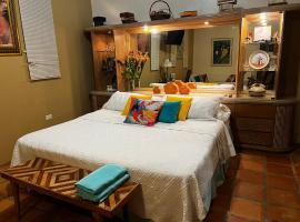 Villa Vassallo, hotel em Ponce