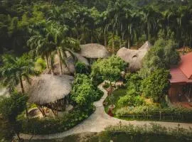 Bamboo Hill