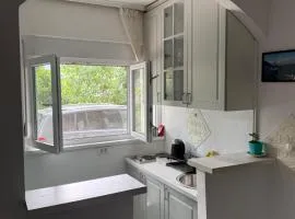 Apartman Dunjićeva