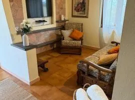 Lola's Sweet Home