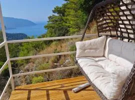 Villa Reset