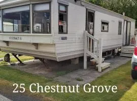 25 Chestnut Grove