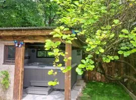 La maison dans la foret proche europapark