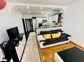 The Olive Tree Apartment