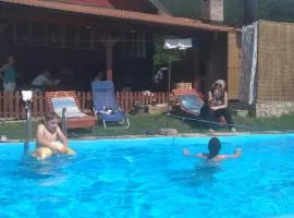 Vikendica Andrija Drina