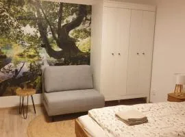 Horský apartmán u vodopádu 24