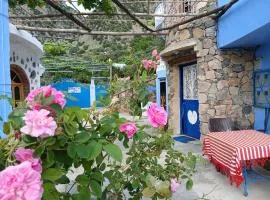 Blue House Town