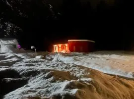 Tiny House in the Garden