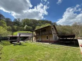 Cabana Din Pădure