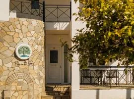 Pine in the sea II Boutique apartment-Nikiti