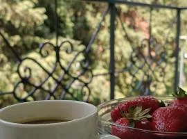 Green view apartman Pančevo