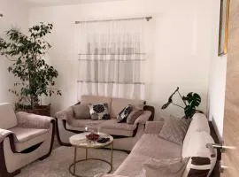 Apartment Guberinic