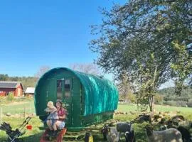 Travellers Caravan - Romantic glamping