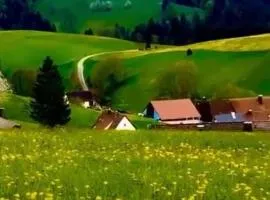 Appartment im Schwarzwald