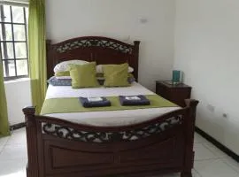 Little Savoy Guest House new