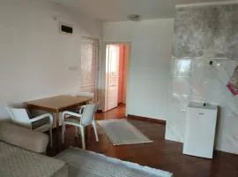 Apartman Trivković