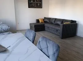 Apartmani Trivunov - Silver Nest Apartments