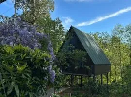 Cottage Green Horizon Buknari