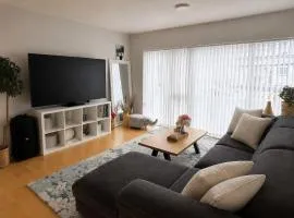 Private Scandinavian Apartment with Hafnarfjall View