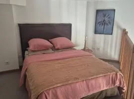 Studio Atypique Mezzanine Proche Gare Chartres