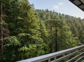 Verma Homestay New Simla