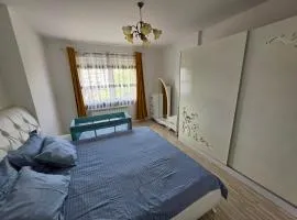 Struga Alpha House