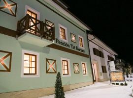 Guest House Tri Koruny, отель в городе Спишска-Стара-Вес